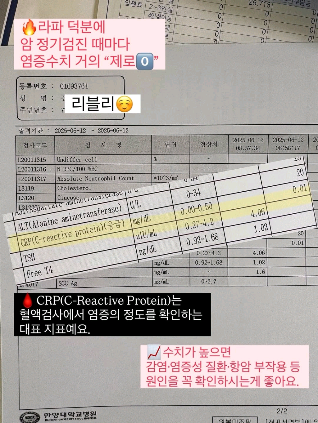 라파 402 알파